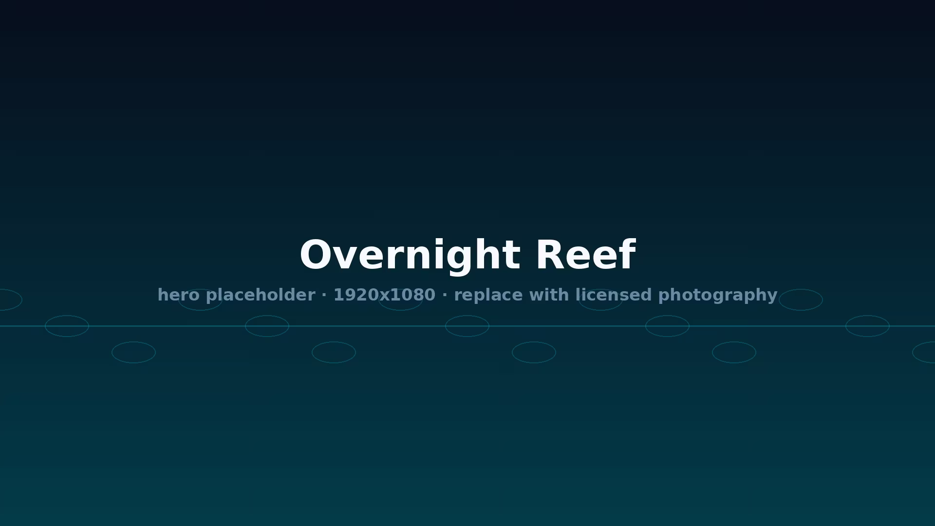 Overnight & Liveaboard Tours